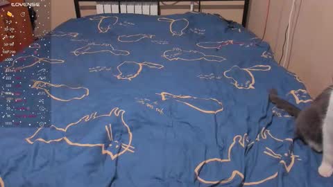 Eva online show from January 13, 2026, 3:06 pm