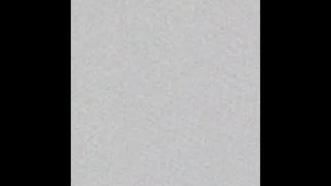 Eva online show from October 28, 2025, 12:19 pm