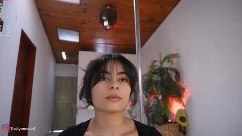 Snapshot of evelyn_evelyn chatting on June 11, 2026, 4:16 pm evelyn evelyn online show from June 11, 2026, 4:16 pm