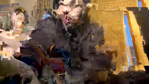 Snapshot of exoticnights chatting on October 8, 2025, 11:30 am exoticnights online show from October 8, 2025, 11:30 am