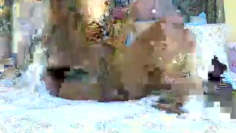 explicitly_certified online show from March 3, 2025, 7:49 pm