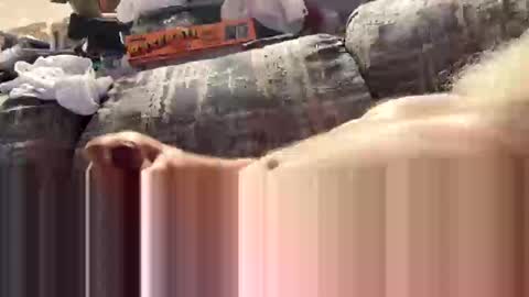 exploreyou online show from March 8, 2026, 3:10 am