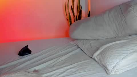 Snapshot of fabrizio_amery chatting on November 3, 2025, 3:52 am -  A N D E R online show from November 3, 2025, 3:52 am