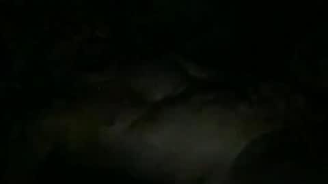 FABX online show from November 10, 2025, 10:31 pm