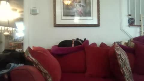 fairmount31 online show from November 7, 2025, 7:25 pm