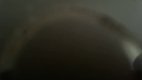 Snapshot of falushp chatting on February 26, 2025, 11:52 am falushp online show from February 26, 2025, 11:52 am