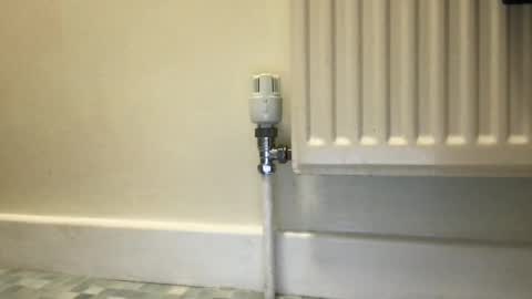 Alex online show from December 3, 2024, 9:55 am