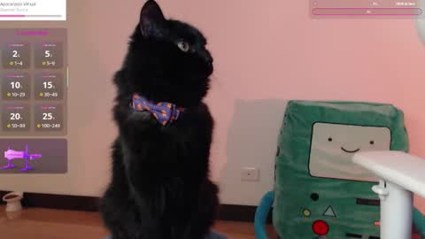  Fantasma.  online show from October 25, 2025, 1:13 am