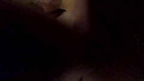 faranume66 online show from October 30, 2025, 9:04 pm