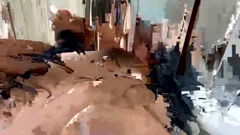 faried92 online show from September 16, 2025, 4:46 am