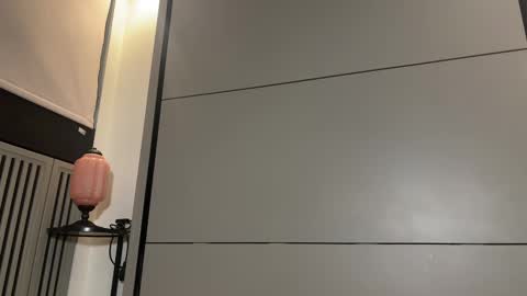 Gattino online show from March 8, 2025, 7:31 pm