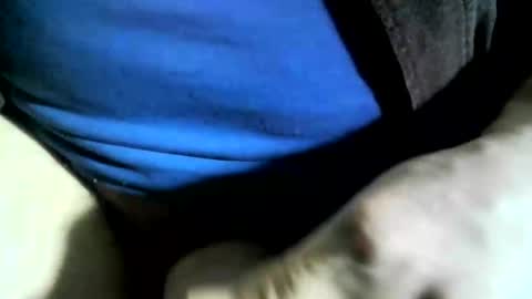 Snapshot of felicaste chatting on January 24, 2025, 6:04 pm felicaste online show from January 24, 2025, 6:04 pm