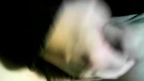 Snapshot of felicaste chatting on February 9, 2025, 3:01 pm felicaste online show from February 9, 2025, 3:01 pm