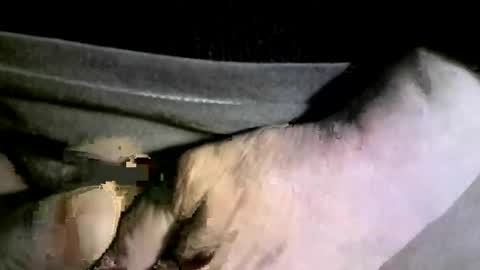 Snapshot of felicaste chatting on February 17, 2025, 4:20 am felicaste online show from February 17, 2025, 4:20 am