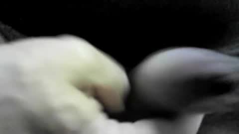 Snapshot of felicaste chatting on September 17, 2025, 10:33 pm felicaste online show from September 17, 2025, 10:33 pm