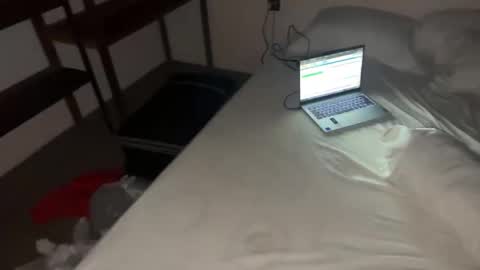 Dani online show from November 12, 2025, 8:30 pm