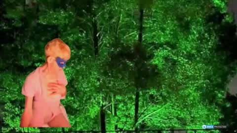 Daniani online show from March 1, 2026, 10:12 pm