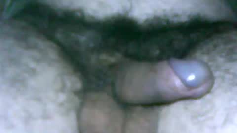 fer_2197 online show from January 9, 2025, 11:36 am