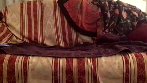 fiii87 online show from February 12, 2025, 10:26 pm