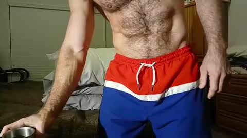 filfaonyx online show from December 30, 2024, 8:43 am