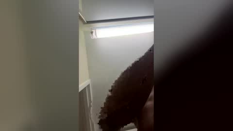 finessegod26 online show from February 3, 2026, 2:21 am