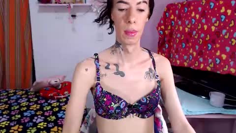 flats23cm online show from May 29, 2026, 7:56 pm