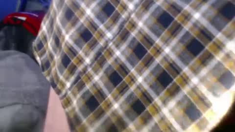 forestnymphpdx online show from December 24, 2024, 8:55 am