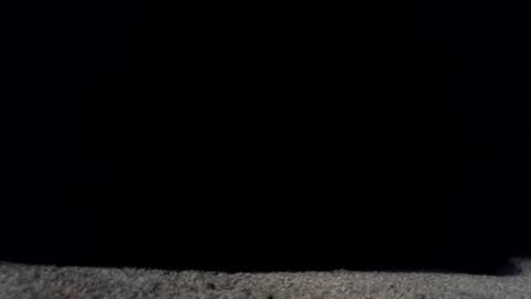 francescafey online show from March 17, 2026, 6:50 am