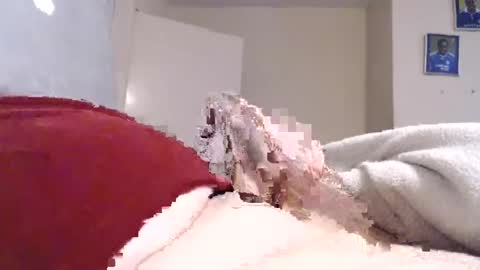 frankiel745 online show from December 9, 2024, 12:40 pm