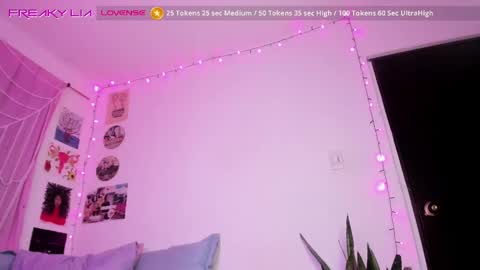 Snapshot of freaky_lia chatting on February 25, 2025, 11:22 pm Lia Gomez online show from February 25, 2025, 11:22 pm