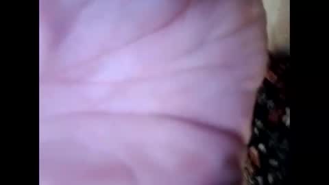 Snapshot of frecklesandsparky chatting on April 4, 2026, 2:25 pm frecklesandsparky online show from April 4, 2026, 2:25 pm