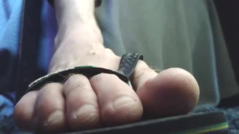 Snapshot of fredthetom12 chatting on February 5, 2026, 2:54 pm Greedy Fred online show from February 5, 2026, 2:54 pm