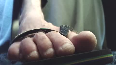 Snapshot of fredthetom12 chatting on February 8, 2026, 3:37 pm Greedy Fred online show from February 8, 2026, 3:37 pm