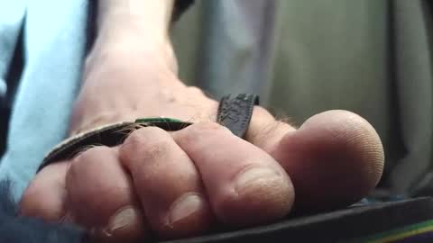 Snapshot of fredthetom12 chatting on February 10, 2026, 2:32 pm Greedy Fred online show from February 10, 2026, 2:32 pm