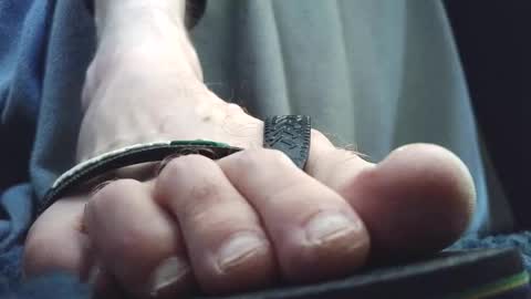 Snapshot of fredthetom12 chatting on February 24, 2026, 4:05 pm Greedy Fred online show from February 24, 2026, 4:05 pm