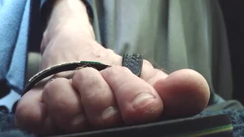 Snapshot of fredthetom12 chatting on February 26, 2026, 3:44 pm Greedy Fred online show from February 26, 2026, 3:44 pm