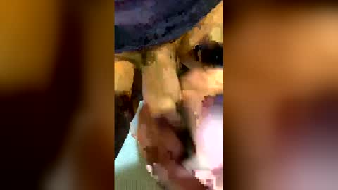 Snapshot of freestpeople chatting on April 14, 2026, 1:55 am freestpeople online show from April 14, 2026, 1:55 am