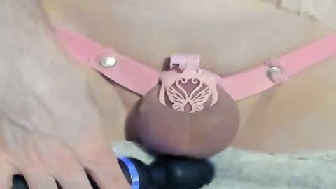 Meadow online show from December 28, 2024, 2:11 am