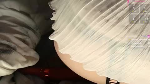 Meadow online show from February 22, 2025, 6:08 pm