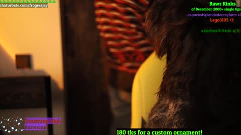   Jaywise Frogfoot  online show from December 26, 2024, 9:47 pm