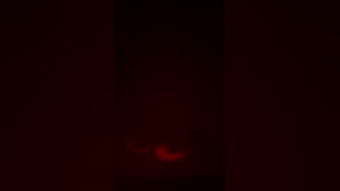 Snapshot of fuckmyassnowww21 chatting on April 12, 2026, 7:57 am fuckmyassnowww21 online show from April 12, 2026, 7:57 am