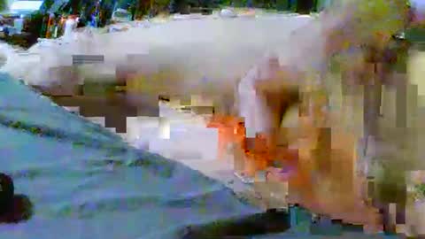 fultonstreet196860 online show from February 5, 2026, 3:00 am