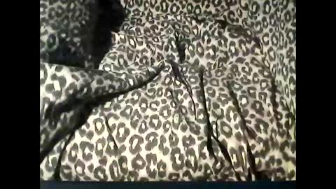 funcyman3 online show from February 18, 2025, 6:04 pm