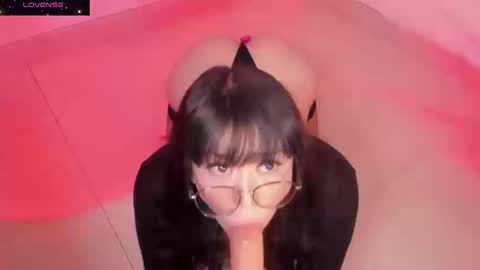 PROXIMO SHOW NOVIEMBRE 16   NEXT SHOW NOVEMBER  16    online show from September 19, 2025, 9:59 pm