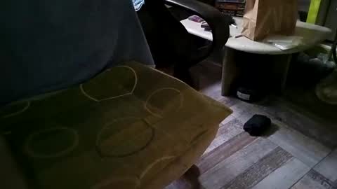 Snapshot of gazdadoka chatting on March 12, 2025, 8:51 am gazdadjoka online show from March 12, 2025, 8:51 am