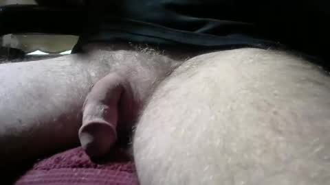 gemini_2 online show from February 16, 2025, 5:37 pm