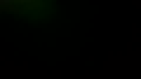 geminiguy1954 online show from October 1, 2025, 8:04 pm