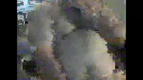 gerabo online show from December 21, 2024, 4:57 pm