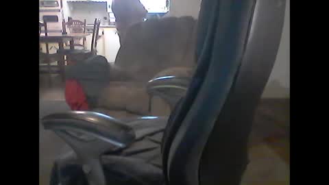 gerabo online show from March 9, 2025, 4:05 am