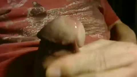 gettingstiff online show from January 12, 2026, 12:10 pm